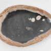 Plato madera petrificada 43106