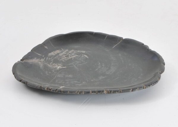 Plato madera petrificada 43125b
