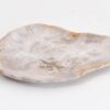 Plato madera petrificada 43125i