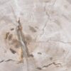 Plato madera petrificada 43125i