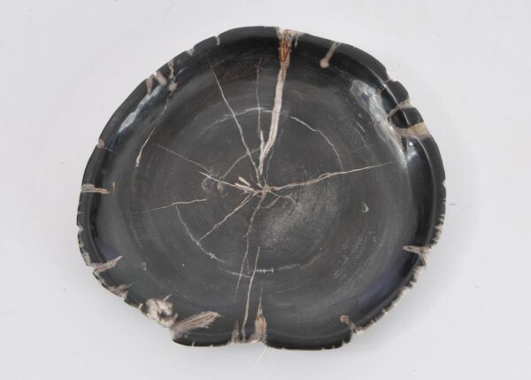 Plato madera petrificada 43388x