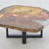 Salontafel versteend hout 43181