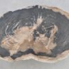 Salontafel versteend hout 43194