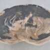 Salontafel versteend hout 43195