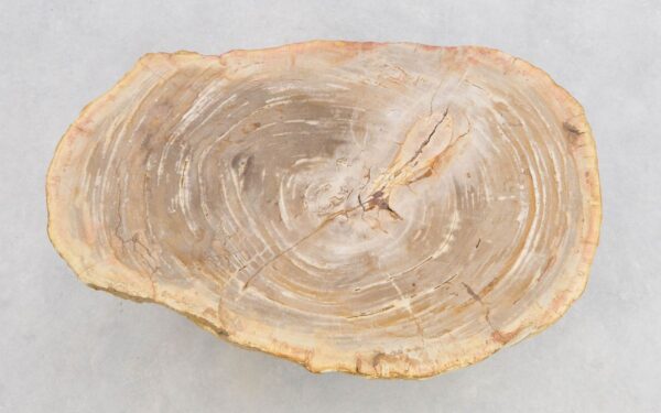 Salontafel versteend hout 43204
