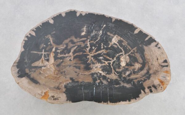 Salontafel versteend hout 43210