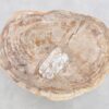 Salontafel versteend hout 43226