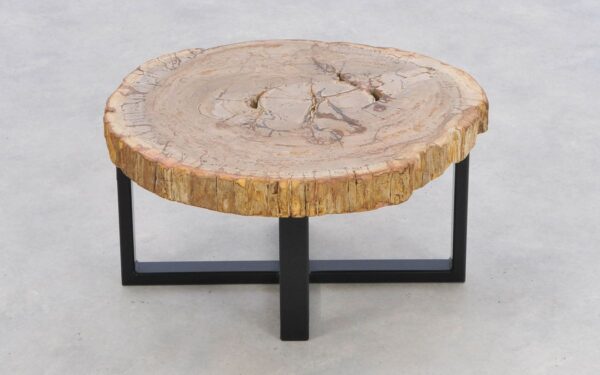 Salontafel versteend hout 43246