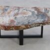 Salontafel versteend hout 43260