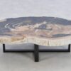 Table basse bois pétrifié 43195