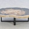 Table basse bois pétrifié 43201