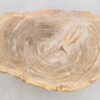 Table basse bois pétrifié 43204