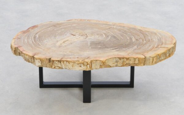 Table basse bois pétrifié 43219