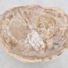 Table basse bois pétrifié 43228