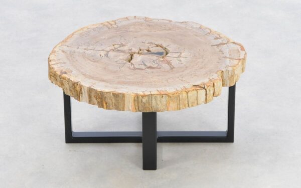 Table basse bois pétrifié 43238