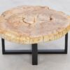 Table basse bois pétrifié 43244