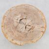 Table basse bois pétrifié 43251