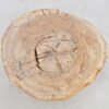 Table basse bois pétrifié 43253