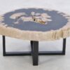 Table basse bois pétrifié 43267