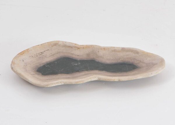 Teller versteinertes Holz 43074m