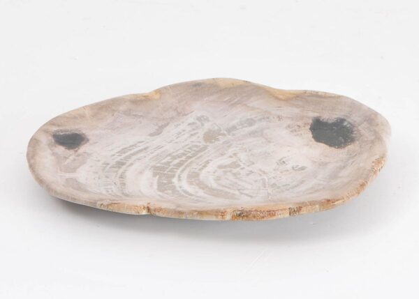 Teller versteinertes Holz 43076i