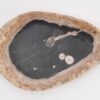 Teller versteinertes Holz 43105