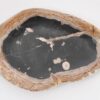 Teller versteinertes Holz 43108