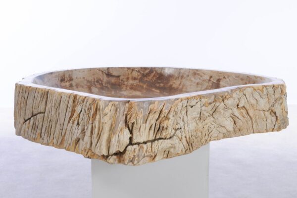 Waschbecke versteinertes Holz 44247