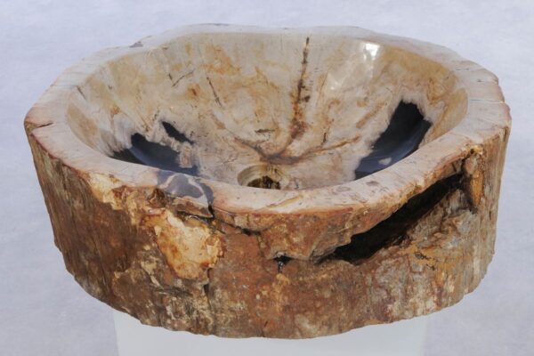 Waschbecke versteinertes Holz 44251