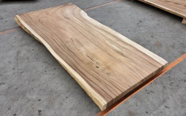 Boomstamtafel suar 30507