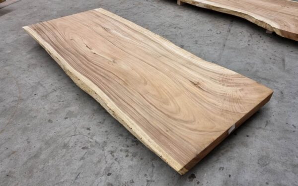 Boomstamtafel suar 30510
