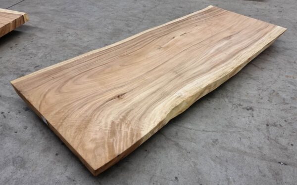 Boomstamtafel suar 30510