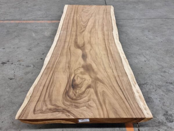 Boomstamtafel suar 30515