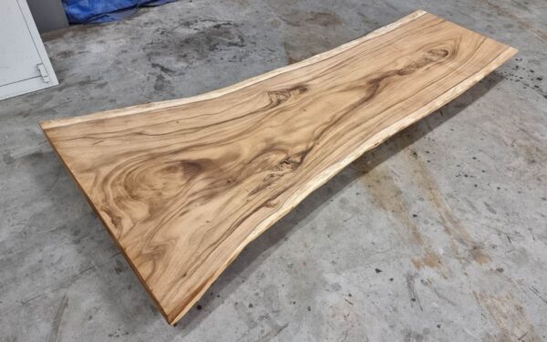 Boomstamtafel suar 30516