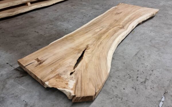 Boomstamtafel suar 30520