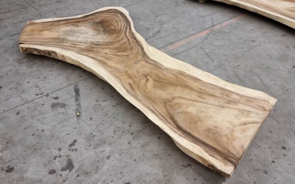 Boomstamtafel suar 30535