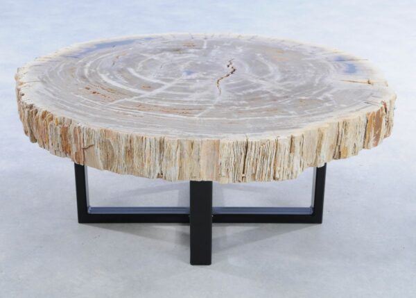 Coffee table petrified wood 44087