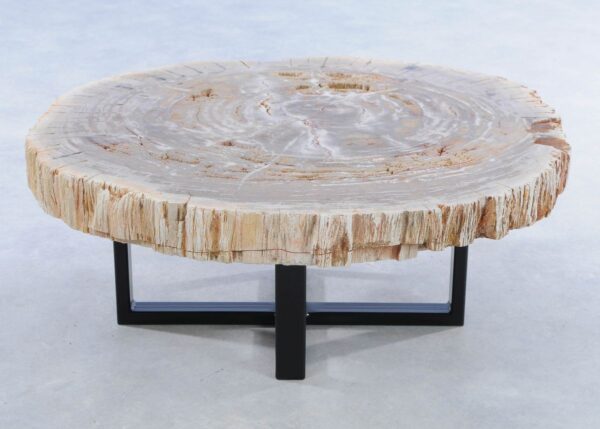 Coffee table petrified wood 44088