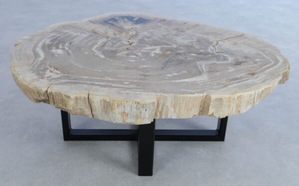 Coffee table petrified wood 44094