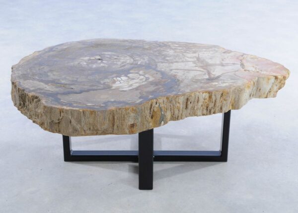 Coffee table petrified wood 44095