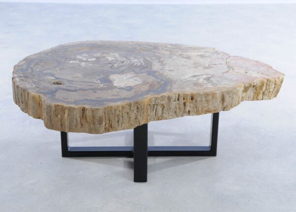 Coffee table petrified wood 44096