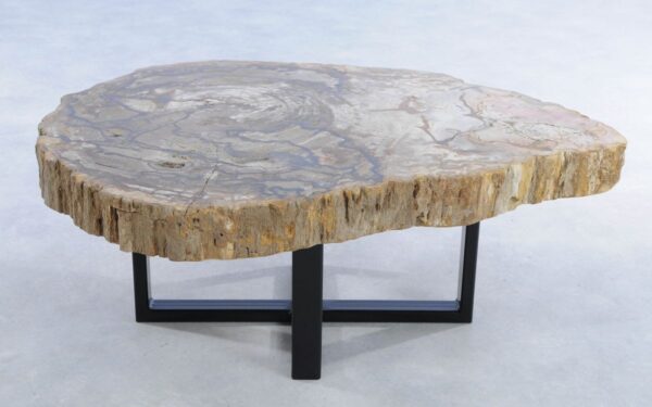 Coffee table petrified wood 44098