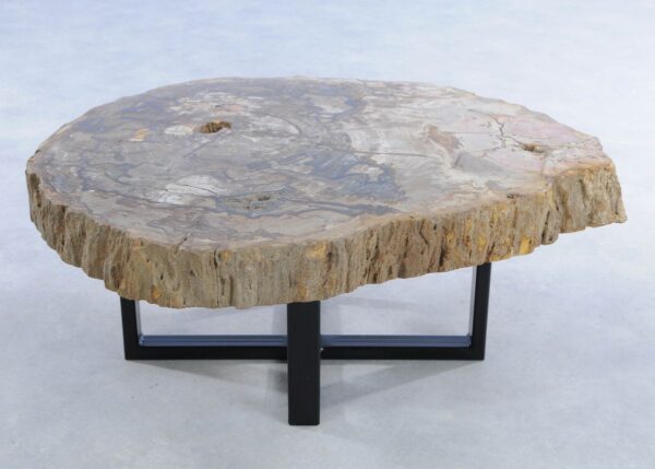 Coffee table petrified wood 44100