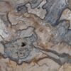 Coffee table petrified wood 44100