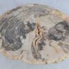 Coffee table petrified wood 44101