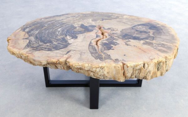 Coffee table petrified wood 44101