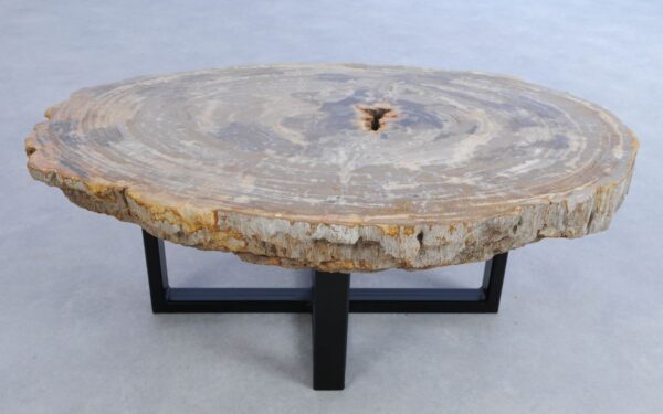 Coffee table petrified wood 44102