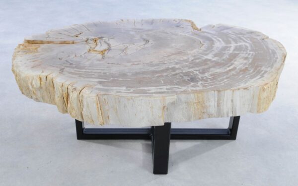 Coffee table petrified wood 44108