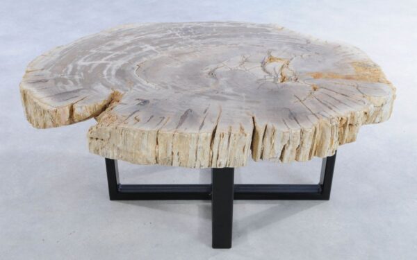Coffee table petrified wood 44108