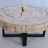 Coffee table petrified wood 44111
